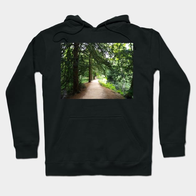 Baddesley Clinton woodland walk A Hoodie by longford